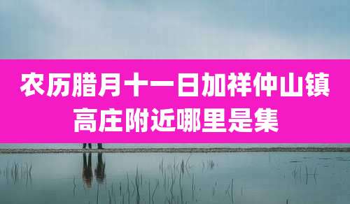 农历腊月十一日加祥仲山镇高庄附近哪里是集