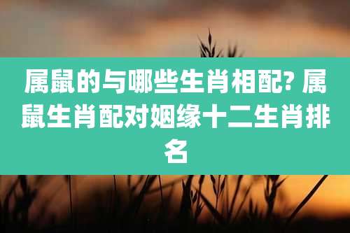 属鼠的与哪些生肖相配? 属鼠生肖配对姻缘十二生肖排名