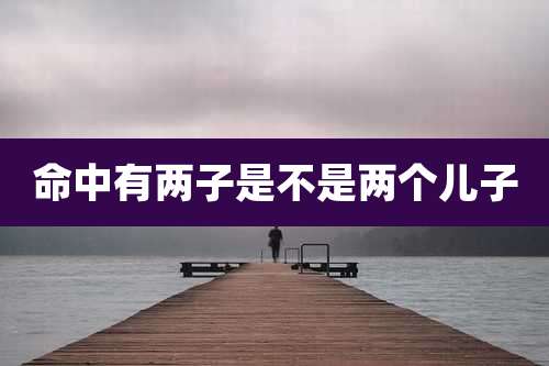 命中有两子是不是两个儿子