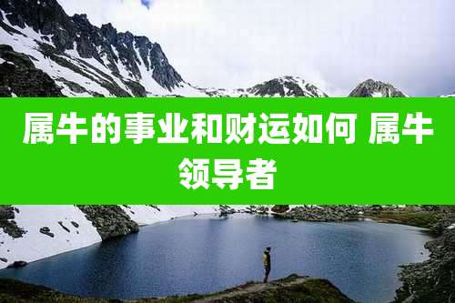 属牛的事业和财运如何 属牛领导者