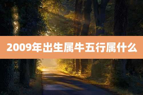 2009年出生属牛五行属什么