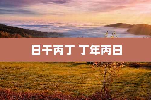日干丙丁 丁年丙日