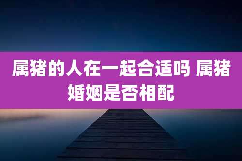 属猪的人在一起合适吗 属猪婚姻是否相配