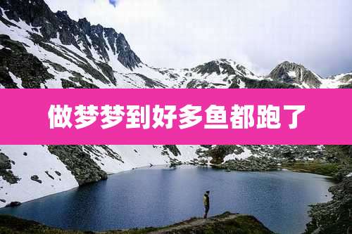 做梦梦到好多鱼都跑了