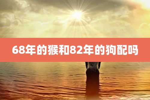 68年的猴和82年的狗配吗