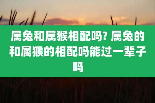 属兔和属猴相配吗? 属兔的和属猴的相配吗能过一辈子吗