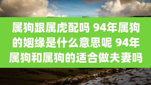 属狗跟属虎配吗 94年属狗的姻缘是什么意思呢 94年属狗和属狗的适合做夫妻吗