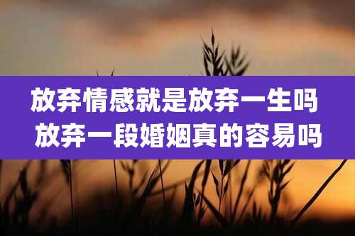 放弃情感就是放弃一生吗 放弃一段婚姻真的容易吗