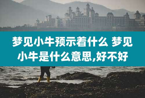梦见小牛预示着什么 梦见小牛是什么意思,好不好