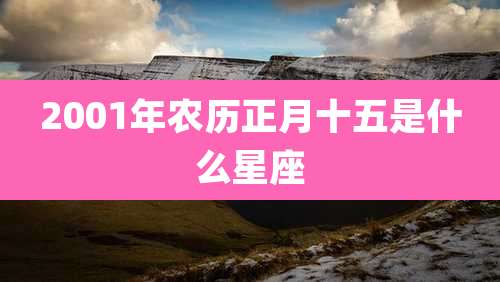 2001年农历正月十五是什么星座