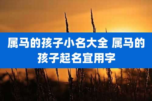 属马的孩子小名大全 属马的孩子起名宜用字