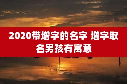 2020带增字的名字 增字取名男孩有寓意