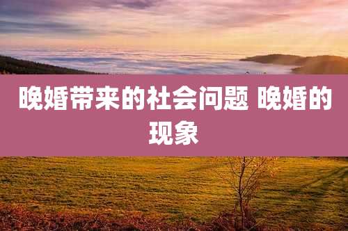 晚婚带来的社会问题 晚婚的现象