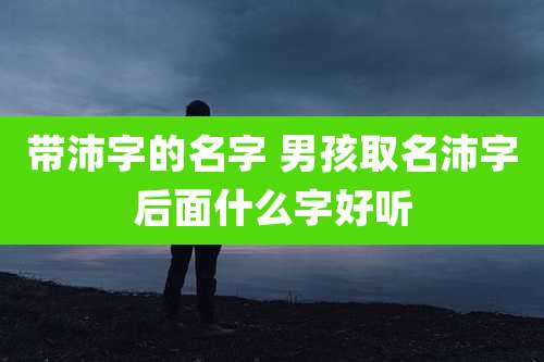 带沛字的名字 男孩取名沛字后面什么字好听