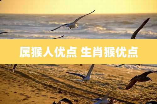 属猴人优点 生肖猴优点