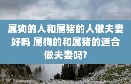 属狗的人和属猪的人做夫妻好吗 属狗的和属猪的适合做夫妻吗?