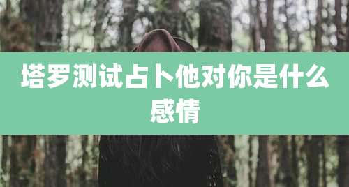 塔罗测试占卜他对你是什么感情