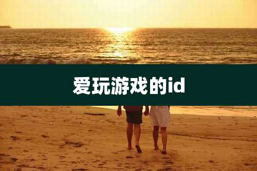 爱玩游戏的id