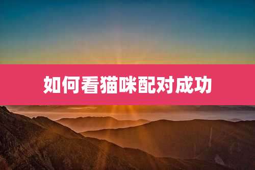 如何看猫咪配对成功
