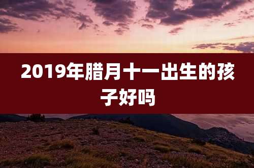 2019年腊月十一出生的孩子好吗