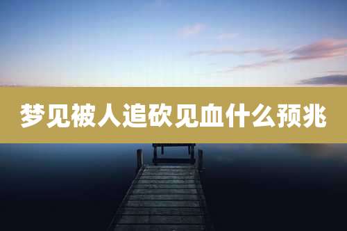 梦见被人追砍见血什么预兆