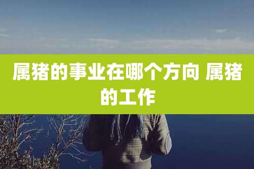 属猪的事业在哪个方向 属猪的工作