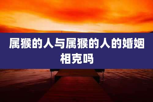属猴的人与属猴的人的婚姻相克吗