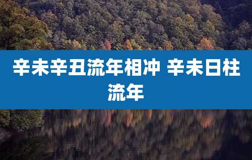 辛未辛丑流年相冲 辛未日柱流年