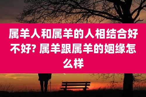 属羊人和属羊的人相结合好不好? 属羊跟属羊的姻缘怎么样