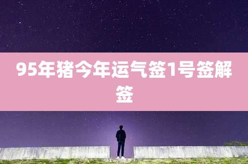 95年猪今年运气签1号签解签