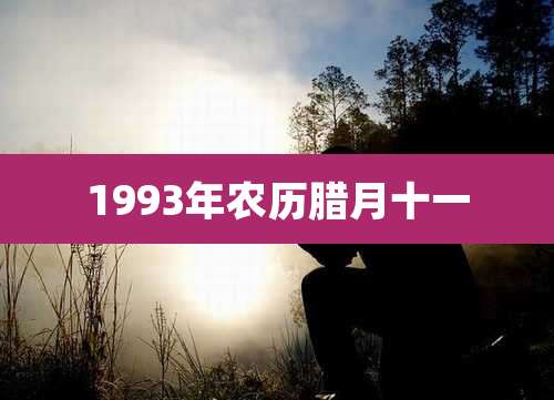 1993年农历腊月十一