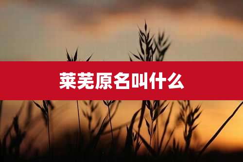 莱芜原名叫什么