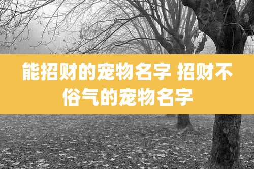 能招财的宠物名字 招财不俗气的宠物名字