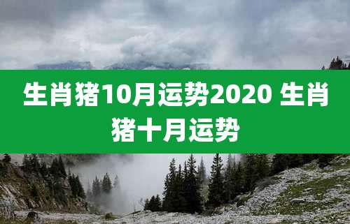 生肖猪10月运势2020 生肖猪十月运势