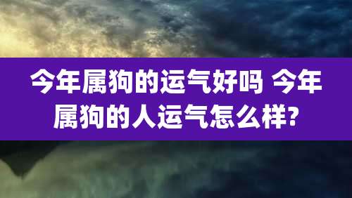今年属狗的运气好吗 今年属狗的人运气怎么样?