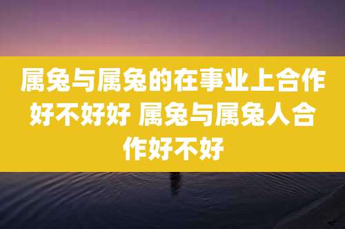 属兔与属兔的在事业上合作好不好好 属兔与属兔人合作好不好