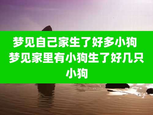 梦见自己家生了好多小狗 梦见家里有小狗生了好几只小狗