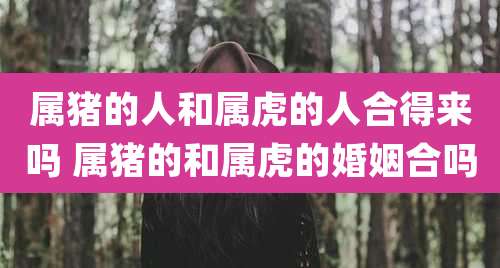 属猪的人和属虎的人合得来吗 属猪的和属虎的婚姻合吗