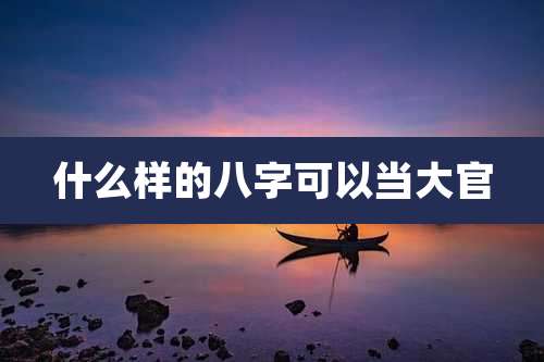 什么样的八字可以当大官