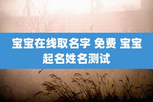 宝宝在线取名字 免费 宝宝起名姓名测试