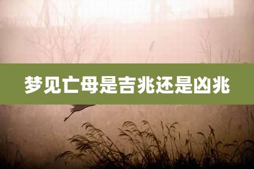 梦见亡母是吉兆还是凶兆