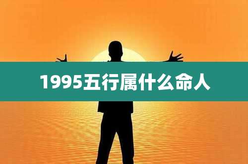 1995五行属什么命人