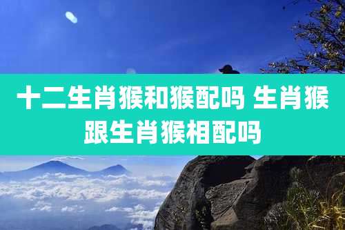 十二生肖猴和猴配吗 生肖猴跟生肖猴相配吗