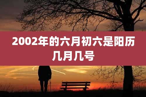 2002年的六月初六是阳历几月几号