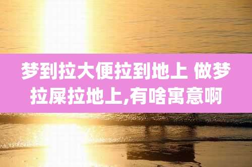梦到拉大便拉到地上 做梦拉屎拉地上,有啥寓意啊