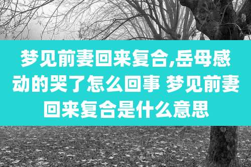 梦见前妻回来复合,岳母感动的哭了怎么回事 梦见前妻回来复合是什么意思