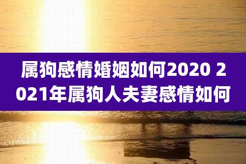 属狗感情婚姻如何2020 2021年属狗人夫妻感情如何