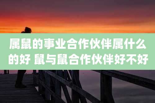 属鼠的事业合作伙伴属什么的好 鼠与鼠合作伙伴好不好