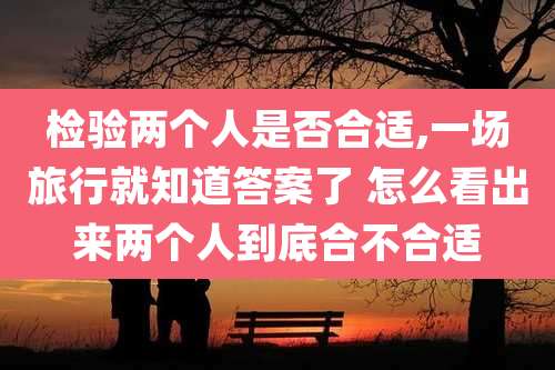 检验两个人是否合适,一场旅行就知道答案了 怎么看出来两个人到底合不合适