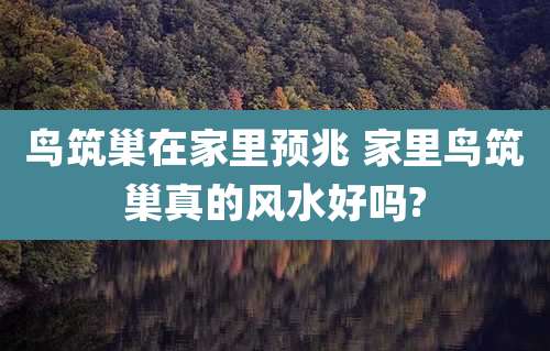 鸟筑巢在家里预兆 家里鸟筑巢真的风水好吗?